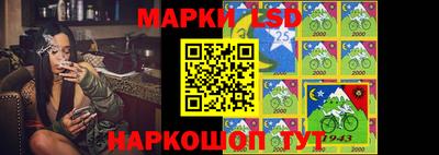 шишки Бузулук