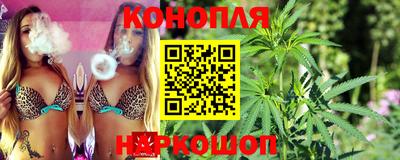 шишки Бузулук